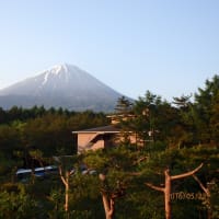 富士山の周りを巡ってきました。
