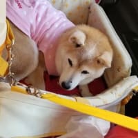 クリンへの想いは尽きなくて・・・304