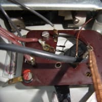 Braun,  SK 5