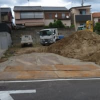 戻り梅雨ではないらしい