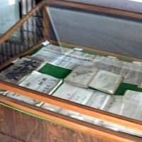 海鳥のサンクチュアリ　天売島と森林浴を楽しむメルヘンの焼尻島　７６回目　羽幌