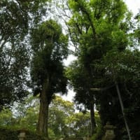 2025-06-12 Photo
