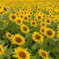 今日いち-2024年8月17日