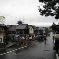 2010秋の京都・奈良4日目その4