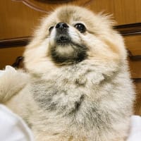人生年中無休?