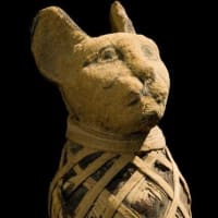 ネコの知られざる世界（１）―歴史に翻弄されたネコ―