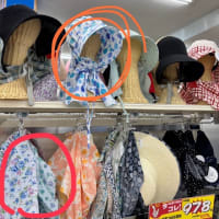 被り物シリーズ
