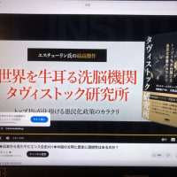 ​​スパイザビエルは、日本人50万人を奴隷として売った‼️2025/06/09