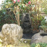 庭の小池と小滝