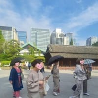 おべべ俱楽部ランチ会　皆さんのコーデ