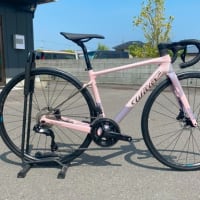 スペシャルカラーの限定モデルが入荷しました！