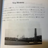     Trip Memory  2001　デズニーランド