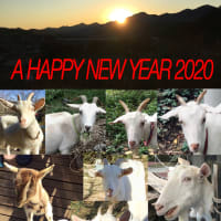 2020年　新年明けましておめでとうございます！