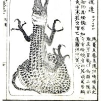 ワニの標本江戸時代の　「重訂本草綱目啓蒙」