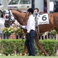 【エスペシャリー】次走は中１週で牝馬限定・芝1200ｍ戦へ