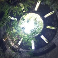 松山へ行ってきました!!