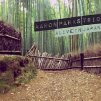 Alive in Japan / Aaron Parks Trio