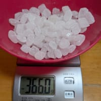 梅仕事　2025 （梅干しはお休み）