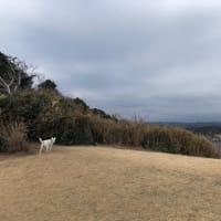夢を叶えないといけません。