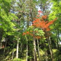 大和十三佛霊場まいり　第2回目　霊山寺