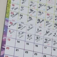 ブログ、引っ越し作業？さてどうする