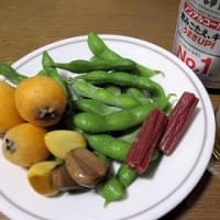Ｓクミノンでタニシ退治
