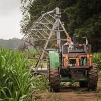 穀物収穫量を最大50％減少　中国共産党流の農業テロリズム
