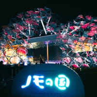 パナソニックPav.「ノモの国」・煌めく結晶の旅　～大阪関西万博　55