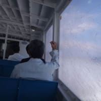 冬の石垣島の旅２…はてるまの星空編
