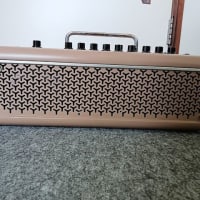 ワイヤレスアンプを購入しました
