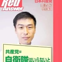 ユーチューブ拡散　今日はコレ！　「自衛隊　どう考えている」
