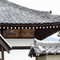 06/20奈良京都への旅-7（明日香村②：飛鳥寺訪問）
