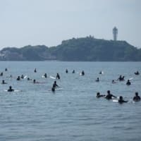 湘南海岸で散歩して生シラス丼