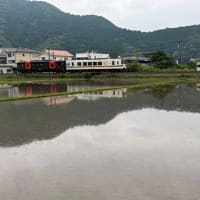 水田に映る肥薩おれんじ鉄道