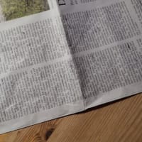 音楽経済を超える文化