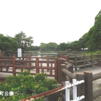 ６月例会「久留米の花菖蒲を求めて」（福岡県久留米市）