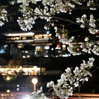 2025年4月5日　東京散歩（二回目）　その3　（神楽坂）