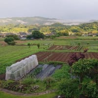 6/23(月)朝焼け&夕日に輝く里山〜🎵