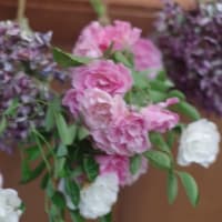 今年も白い蔓薔薇が咲きました