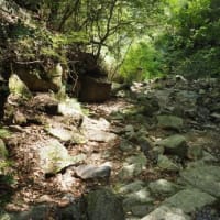 今日は山でゆっくりしようと摩耶山掬星台へ山歩き