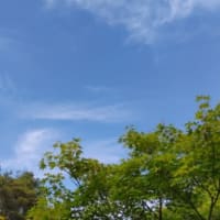 ゴルフ日和
