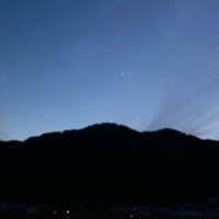 素直な気持ち