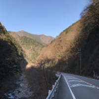 今川峠～一ノ瀬林道