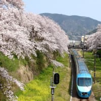 2024年　3月例会　　