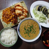 自作カレー