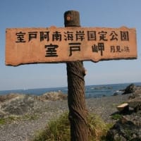国の名勝、国定公園に指定：室戸岬美景、ドキドキ眺め　(高知県室戸市)