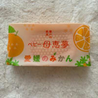 お出かけ