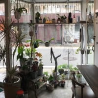 Hajikko商店.書店　　　長崎市江川町