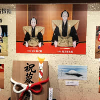 松竹創業百三十周年 尾上菊之助改め 八代目 尾上菊五郎襲名披露 尾上丑之助改め 六代目 尾上菊之助襲名披露 七月大歌舞伎 関西・歌舞伎を愛する会 第三十三回