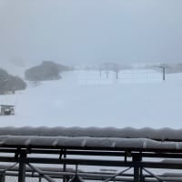 2年に一度の…